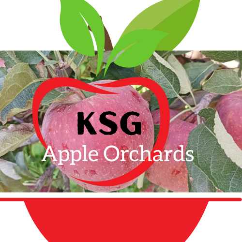 KSG Apple Orchards